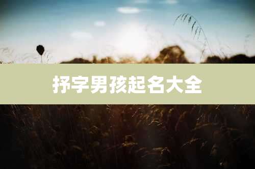 抒字男孩起名大全