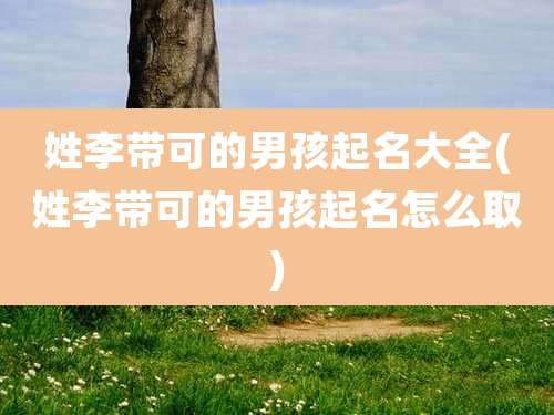 姓李带可的男孩起名大全(姓李带可的男孩起名怎么取)