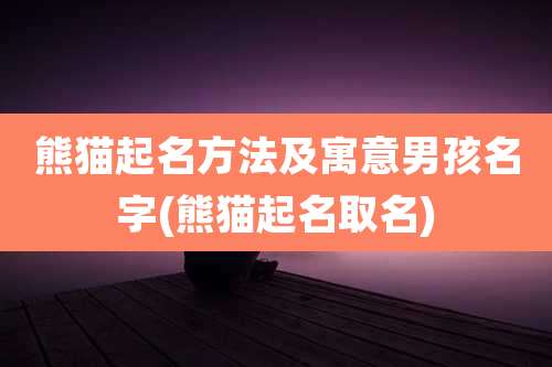 熊猫起名方法及寓意男孩名字(熊猫起名取名)