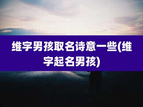 维字男孩取名诗意一些(维字起名男孩)
