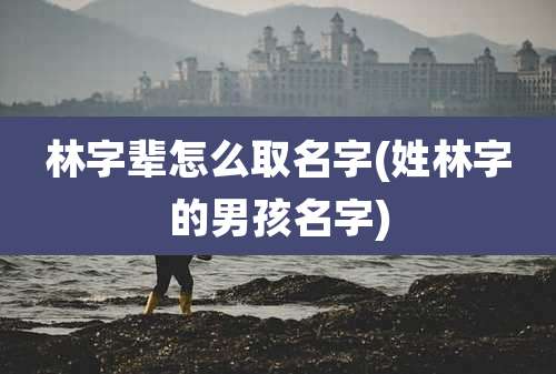 林字辈怎么取名字(姓林字的男孩名字)