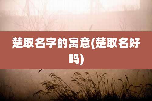 楚取名字的寓意(楚取名好吗)