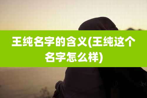 王纯名字的含义(王纯这个名字怎么样)