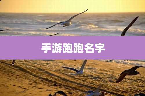 手游跑跑名字