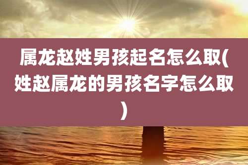 属龙赵姓男孩起名怎么取(姓赵属龙的男孩名字怎么取)