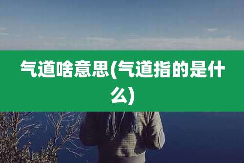 气道啥意思(气道指的是什么)