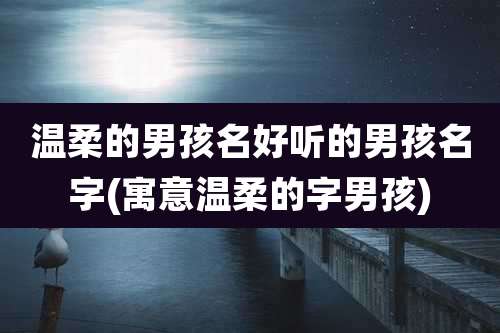 温柔的男孩名好听的男孩名字(寓意温柔的字男孩)