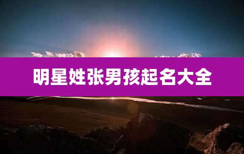 明星姓张男孩起名大全