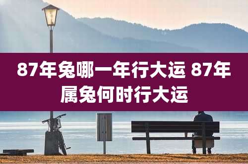 87年兔哪一年行大运 87年属兔何时行大运