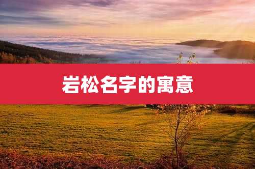 岩松名字的寓意