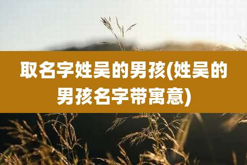 取名字姓吴的男孩(姓吴的男孩名字带寓意)