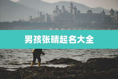 男孩张晴起名大全