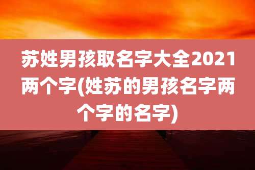 苏姓男孩取名字大全2021两个字(姓苏的男孩名字两个字的名字)