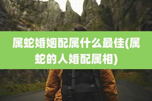 属蛇婚姻配属什么最佳(属蛇的人婚配属相)