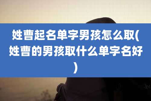 姓曹起名单字男孩怎么取(姓曹的男孩取什么单字名好)