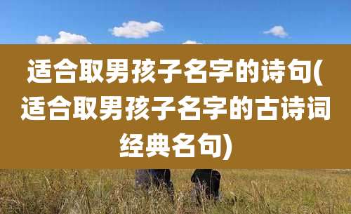 适合取男孩子名字的诗句(适合取男孩子名字的古诗词经典名句)