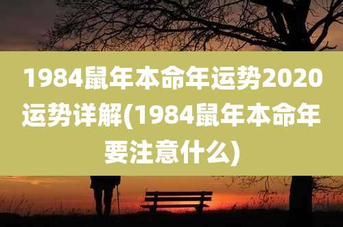 1984鼠年本命年运势2020运势详解(1984鼠年本命年要注意什么)