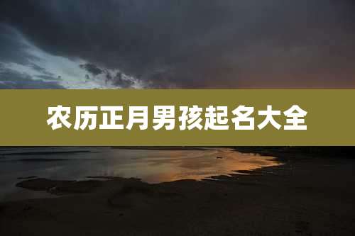 农历正月男孩起名大全