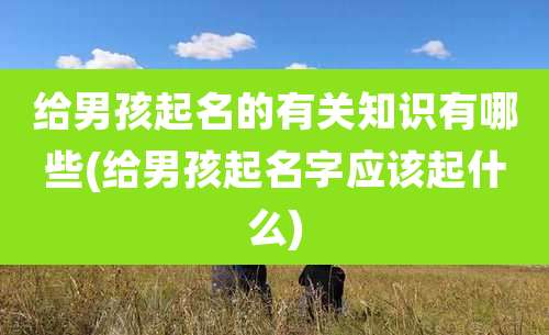 给男孩起名的有关知识有哪些(给男孩起名字应该起什么)