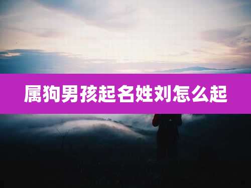 属狗男孩起名姓刘怎么起