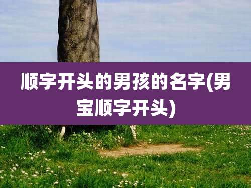 顺字开头的男孩的名字(男宝顺字开头)