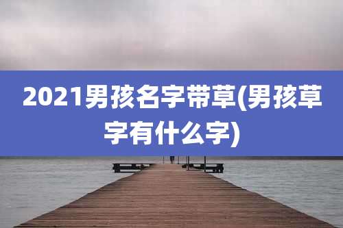 2021男孩名字带草(男孩草字有什么字)