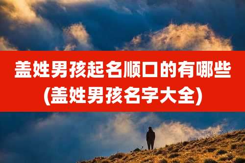 盖姓男孩起名顺口的有哪些(盖姓男孩名字大全)