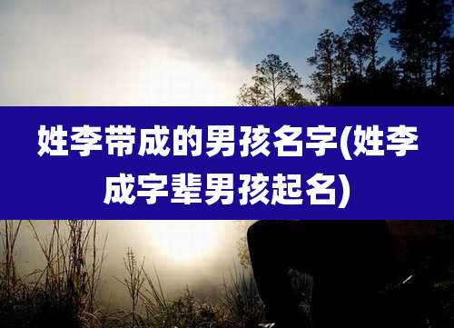 姓李带成的男孩名字(姓李成字辈男孩起名)