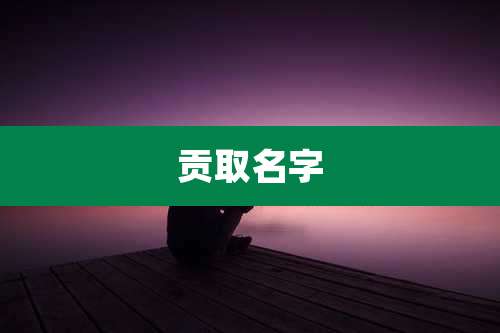 贡取名字