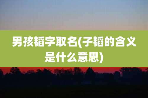 男孩韬字取名(子韬的含义是什么意思)