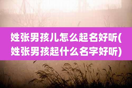 姓张男孩儿怎么起名好听(姓张男孩起什么名字好听)