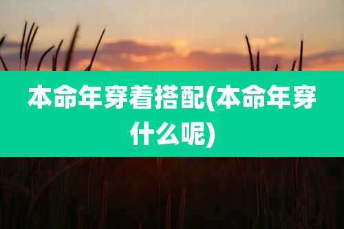 本命年穿着搭配(本命年穿什么呢)