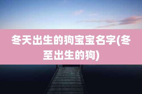 冬天出生的狗宝宝名字(冬至出生的狗)