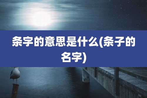 条字的意思是什么(条子的名字)