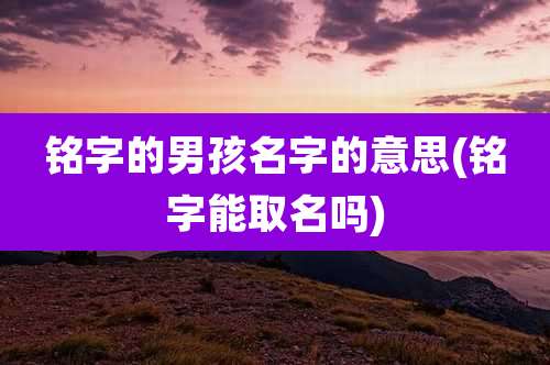 铭字的男孩名字的意思(铭字能取名吗)
