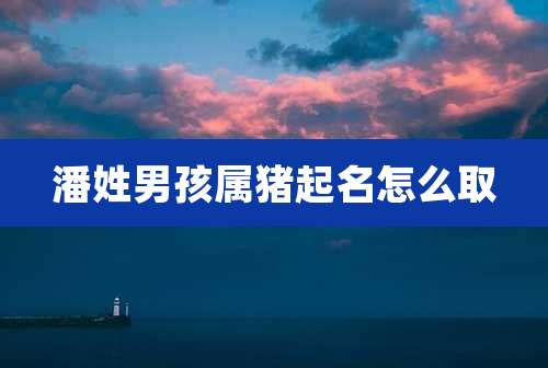 潘姓男孩属猪起名怎么取