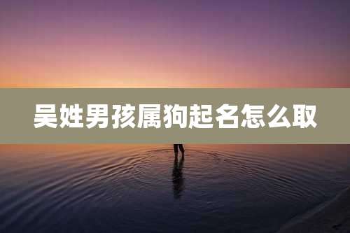 吴姓男孩属狗起名怎么取