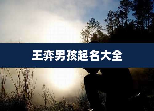 王弈男孩起名大全