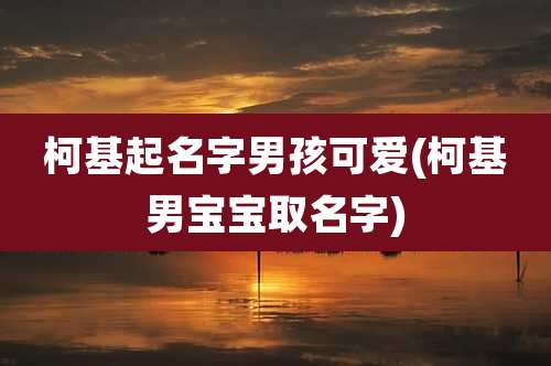 柯基起名字男孩可爱(柯基男宝宝取名字)