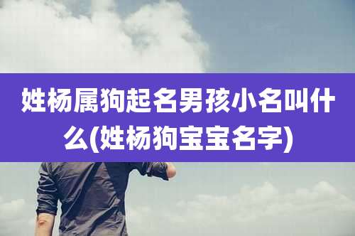 姓杨属狗起名男孩小名叫什么(姓杨狗宝宝名字)