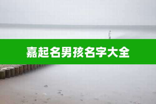 嘉起名男孩名字大全