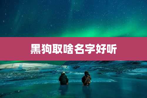 黑狗取啥名字好听