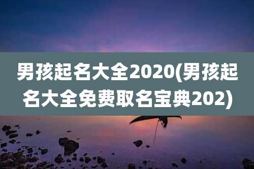男孩起名大全2020(男孩起名大全免费取名宝典202)