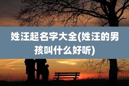 姓汪起名字大全(姓汪的男孩叫什么好听)