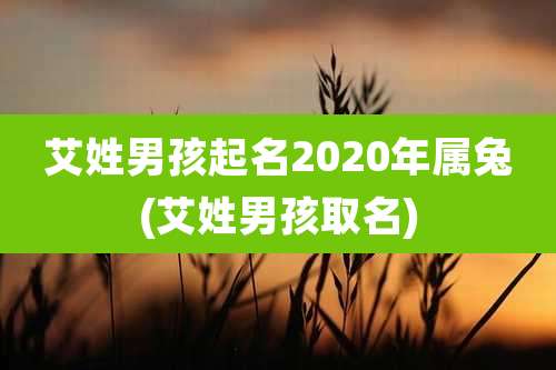 艾姓男孩起名2020年属兔(艾姓男孩取名)
