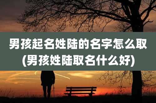 男孩起名姓陆的名字怎么取(男孩姓陆取名什么好)