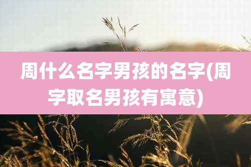 周什么名字男孩的名字(周字取名男孩有寓意)