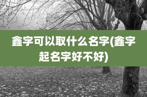 鑫字可以取什么名字(鑫字起名字好不好)
