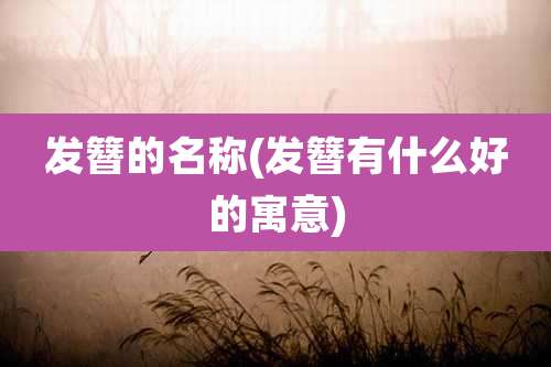 发簪的名称(发簪有什么好的寓意)