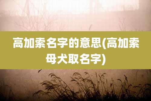 高加索名字的意思(高加索母犬取名字)